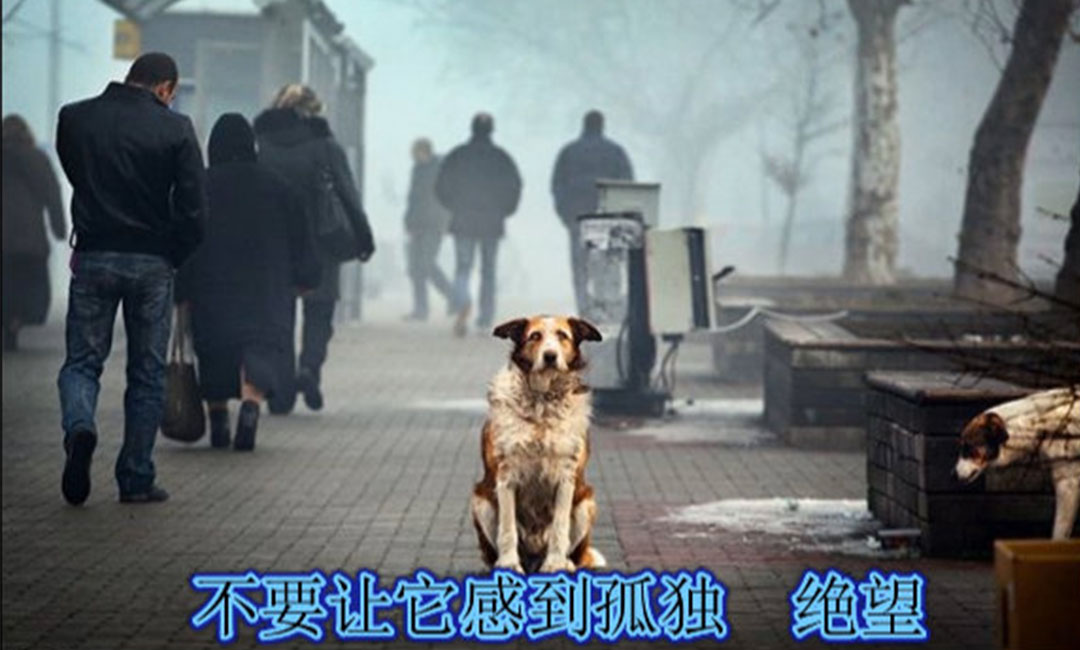 牡丹区牡丹区爱影圈微博微信转发案例